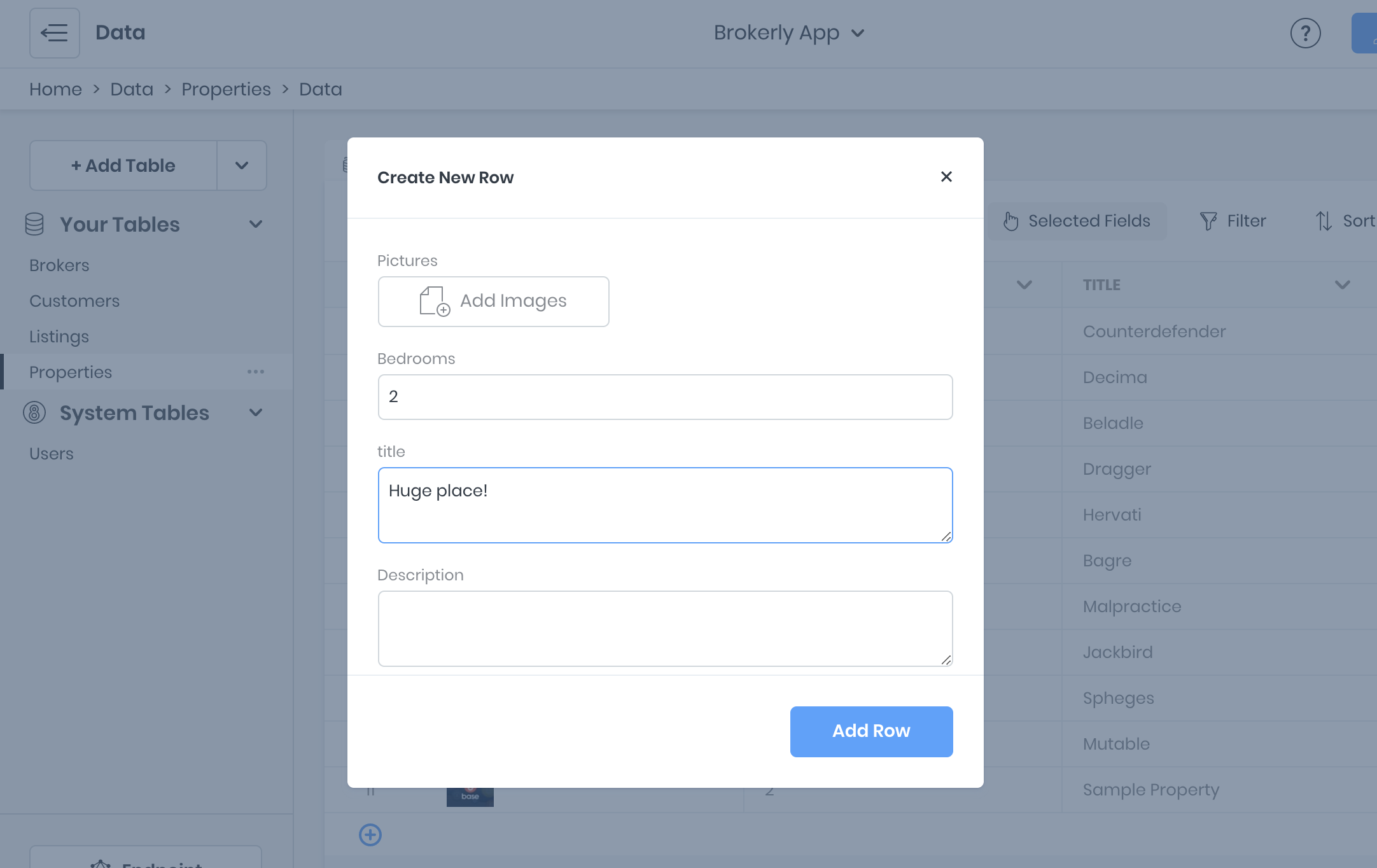 Adding a new record in the Data Viewer