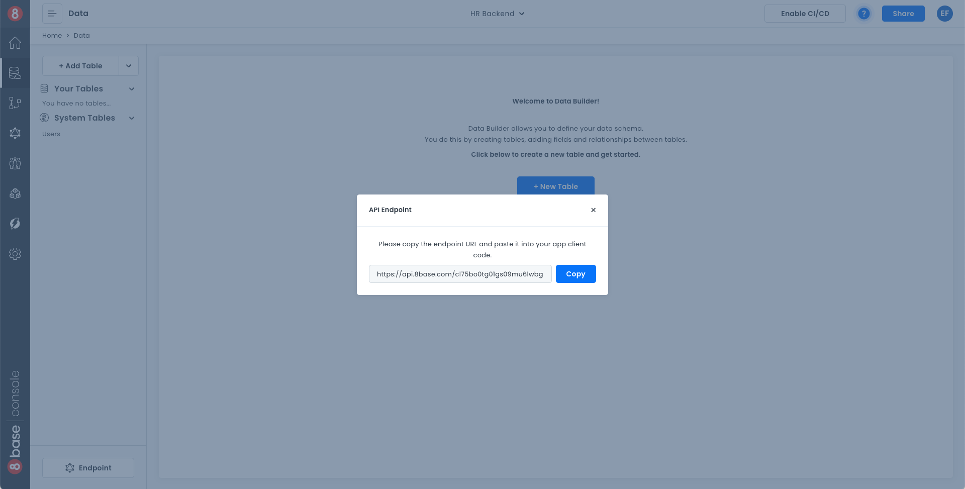API Endpoint Data Section